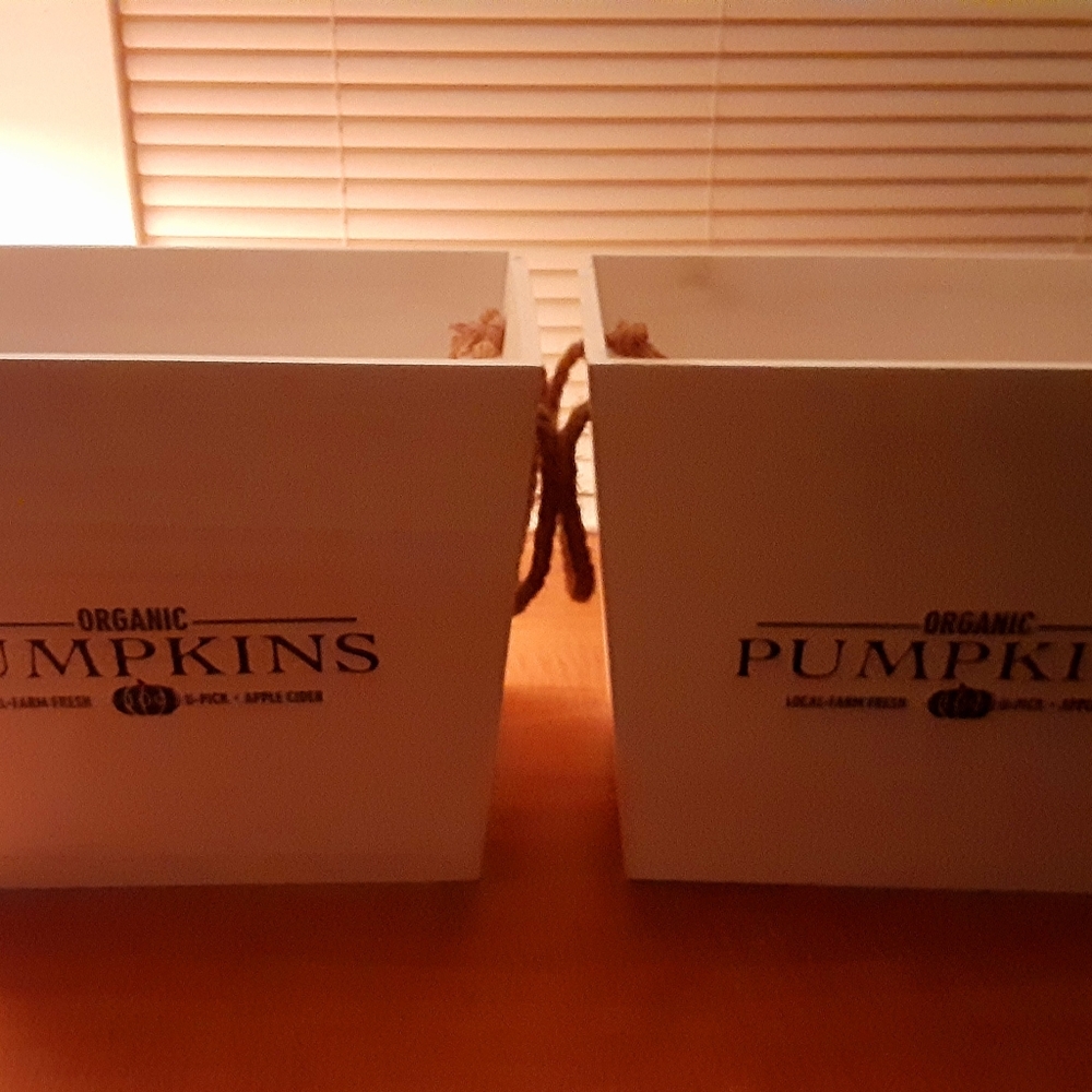 Fall Whitewash Wooden Storage Decor Baskets